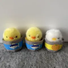 ぴよりーな　缶詰ひよこ