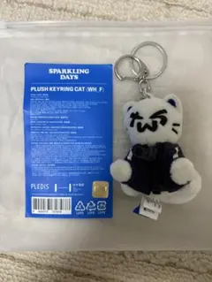 TWS Sparkling Days キーリング 3点セット まとめ - メルカリ