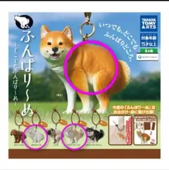 ふんばり〜ぬ ガチャガチャ