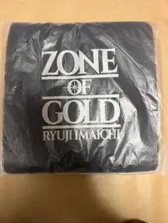 今市隆二　シートクッション