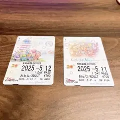 東京ディズニーシー 1日パス 2枚セット