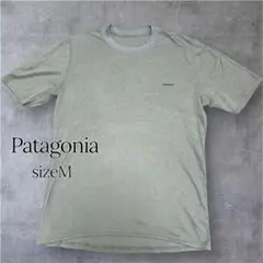 Patagoniaキャプリーン クール デイリー Tシャツ メンズM グレー