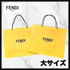 FENDI フェンディ ショップ袋 ショッパー 大サイズ 特大のサムネイル