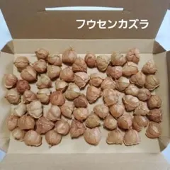 Item thumbnail for item ea10ce69-a4fe-4691-aefb-b4739f166ebd