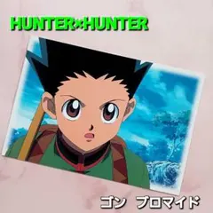 No.1【ゴン】ブロマイド ポストカード初期 HUNTER×HUNTER 旧アニ