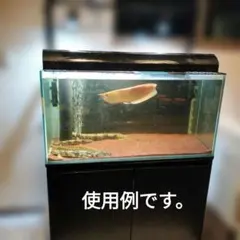 2026年最新】水槽 90 中古の人気アイテム - メルカリ