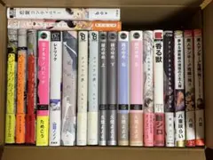 BL漫画 BLコミック 商業BL 20冊セット売り