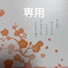 ☆専用出品