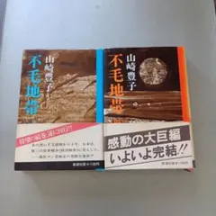 不毛地帯 2巻セット 山崎豊子　後編３巻４巻（全４巻）