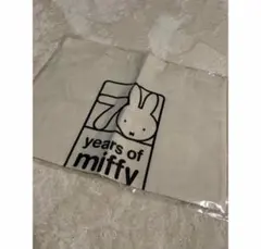 Item thumbnail for item e4442afb-efdd-4b49-b57f-af6917811d63