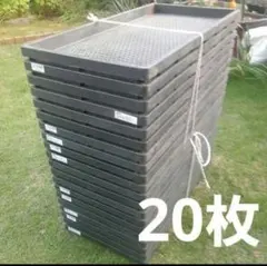 育苗トレー 農業資材 出光 愛苗トレー B-40 3寸ポット40個対応【20枚 