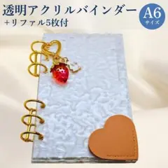 アクリルバインダー A6 リフィル 家計簿 管理 貯金 収納 saving テ1