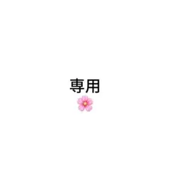 専用
