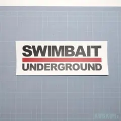 2026年最新】swimbait undergroundの人気アイテム - メルカリ