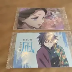 鬼滅の刃　カードセット　冨岡義勇 、珠世たまよ