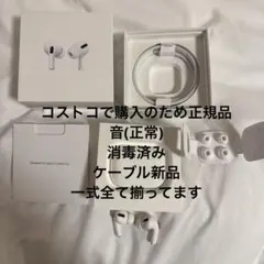 AirPods Pro 第一世代　掃除　消毒　済み