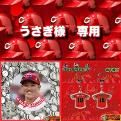 うさぎ様 リクエスト 2点 まとめ商品　カープ