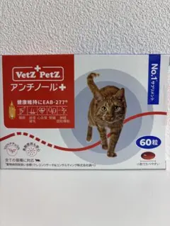 アンチノールプラス60 × 2 - メルカリ