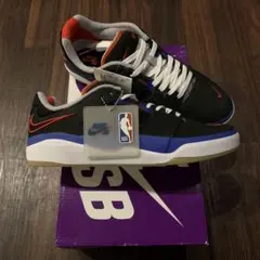 新品Nike SB ishod プレミアム　NBAコラボ　5周年　27.5cm