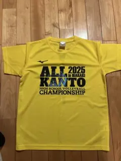 Item thumbnail for item a6a69af5-cb39-4f7f-b20b-63bd92bcb17d