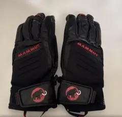 Item thumbnail for item e4105808-82e0-4dc3-82ea-5fafc9165f13