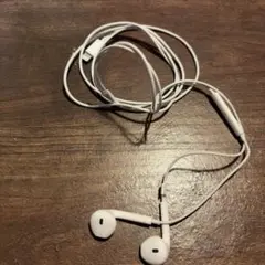 【未使用】Apple純正イヤホン Lightningタイプ