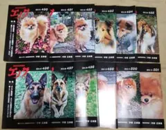 入手困難品 エノク 12冊セット 490号〜501号 宇野正美 国際時事情報誌のサムネイル