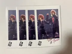 ばぁうくん てるとくん フォトカ 4点