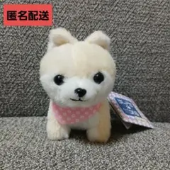 2026年最新】豆しば三兄弟bigぬいぐるみ さすけの人気アイテム - メルカリ