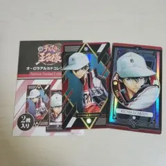 新テニスの王子様 オーロラアルカナコレクション 缶バッジ 越前