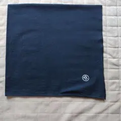 Item thumbnail for item d499849d-1a0a-48e6-8f98-5327b2ba3a91