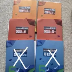 中学受験新演習 小5 上下 、実力アップ問題集全教科10冊セットのサムネイル