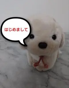 2026年最新】うめ吉 ぬいぐるみの人気アイテム - メルカリ