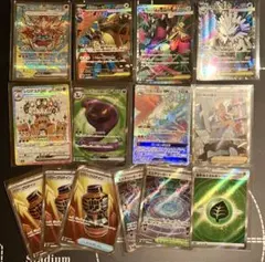 SR SAR セット メガガルーラex パワープロテイン ミステリーガーデン