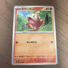 ホゲータ P スカーレット&バイオレットプロモカードパック ポケカの夏