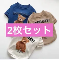 Item thumbnail for item 4925277d-8d60-4794-8ecf-45da8f99b5fb