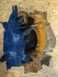 リザード革　トカゲ革 ミズオオトカゲ アソートB品5枚セット