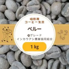 コーヒー生豆 ペルー インカ 1kg 自家焙煎用 スペシャリティコーヒーのサムネイル