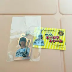 阪神タイガース めじるし オーロラ チャーム ガチャガチャ 前川