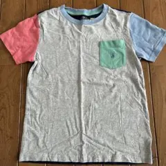 POLO RALPH LAUREN カラフルTシャツ 120センチ