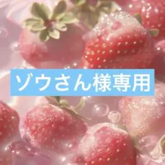 ゾウさん様専用☺︎