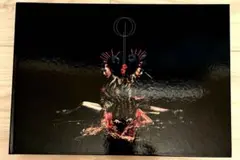 ⭐︎美品⭐︎the GazettE /DIVISION【完全初回限定盤】
