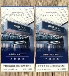 宇野亞喜良展　チケット　2枚　美術館えき　KYOTO