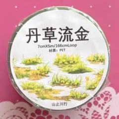PET 丹草流金 7cm×5m 海外マスキングテープ PET 丹草流金 7cm×5m 海外マスキングテープ - メルカリ