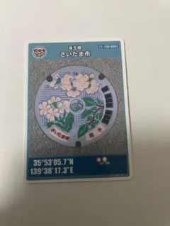 Item thumbnail for item ca390a9f-084d-4920-bd02-95280d65f105