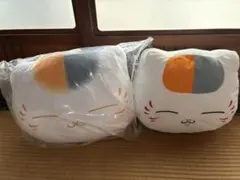 Item thumbnail for item 7ced0e14-f2c6-41eb-9699-10a092e82523