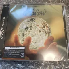 Stray Kids Hollow CD 新品　未開封　通常盤