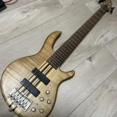 2026年最新】cort 5弦の人気アイテム - メルカリ