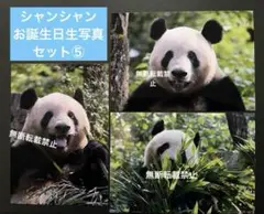 ピコちゃん様 リクエスト 6点 まとめ商品