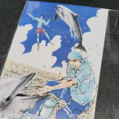 海堂薫 桃城武 文庫本 特典 ポストカード 新テニスの王子様 テニプリ